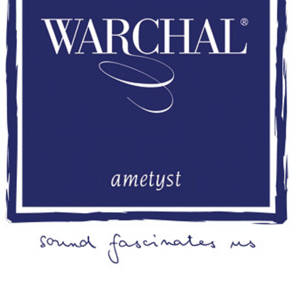 Warchal Ametyst Violin 3/4 Strings