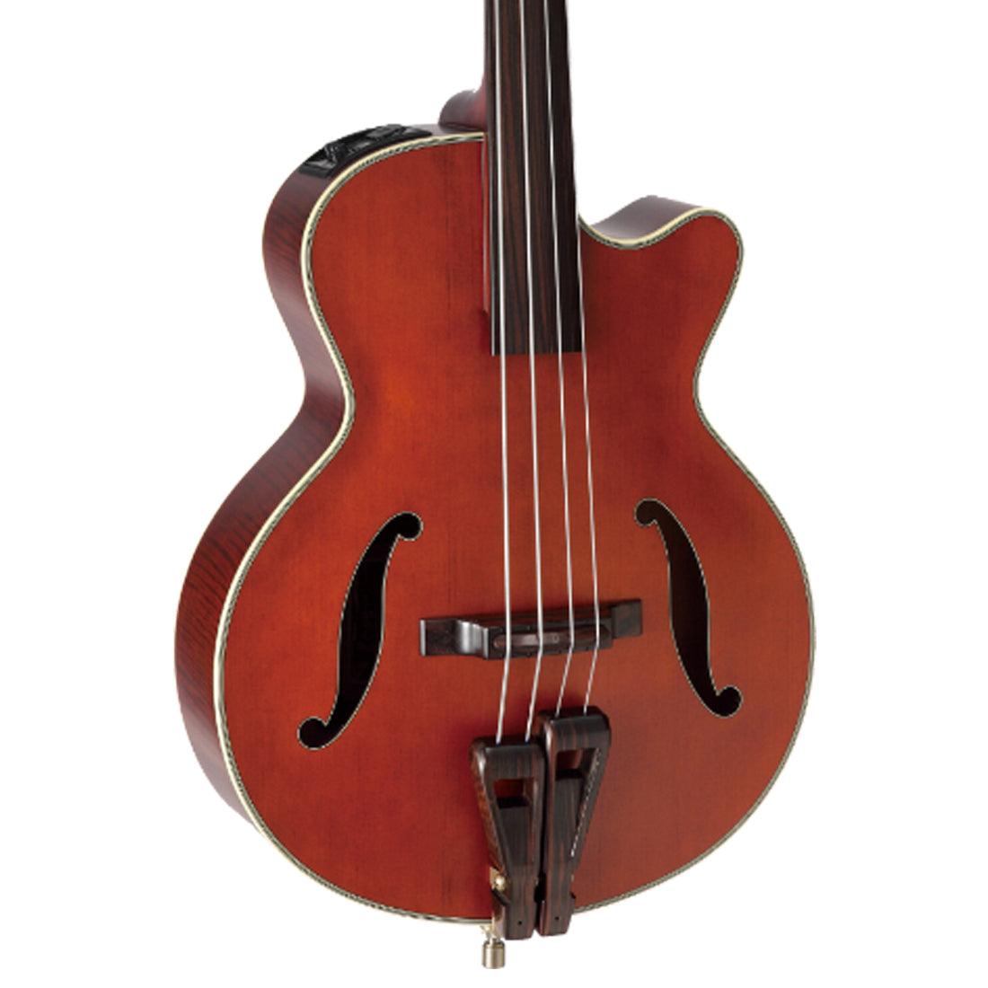 Takamine Legacy Series Upright Acoustic Electric Fretless Bass with Cutaway Hybrid Crossover Bass in Antique Nutmeg Satin