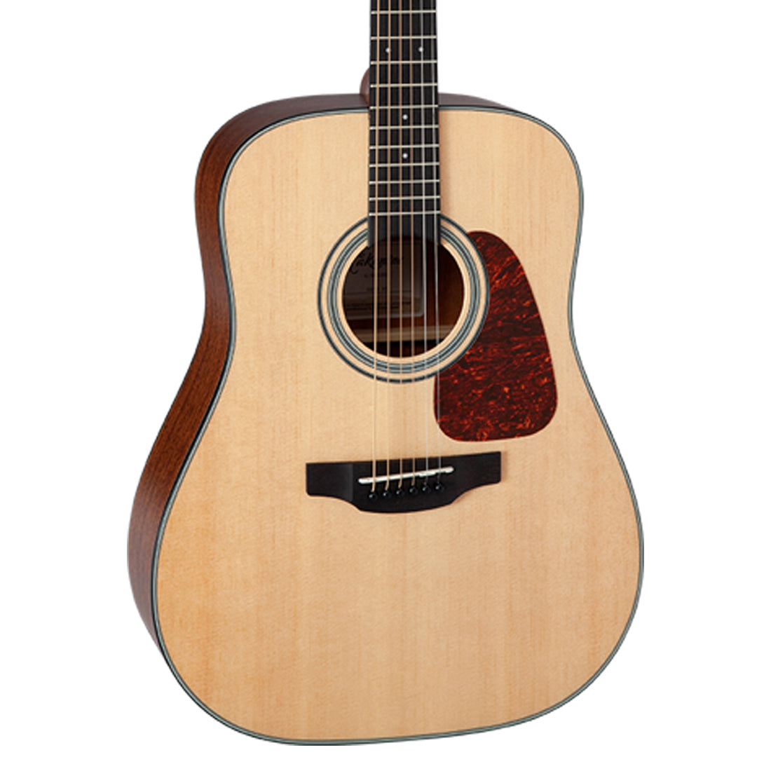 Takamine G10 Series Dreadnought Acoustic Guitar in Natural Satin Finish