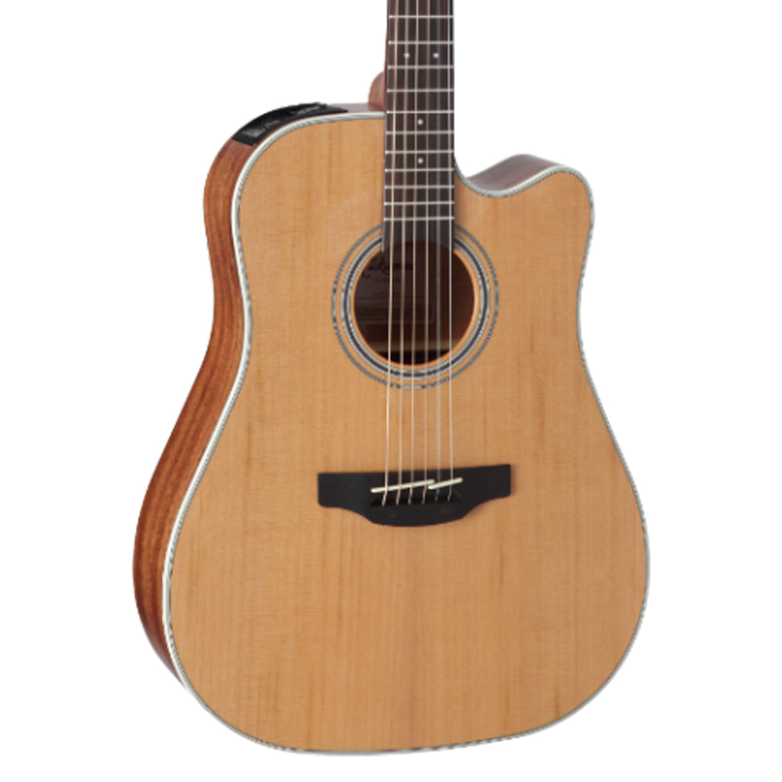 Takamine G20 Series Dreadnought Acoustic Electric Guitar with Cutaway in Natural Satin Finish