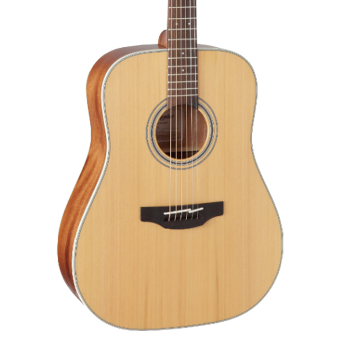 Takamine G20 Series Dreadnought Acoustic Guitar in Natural Satin Finish