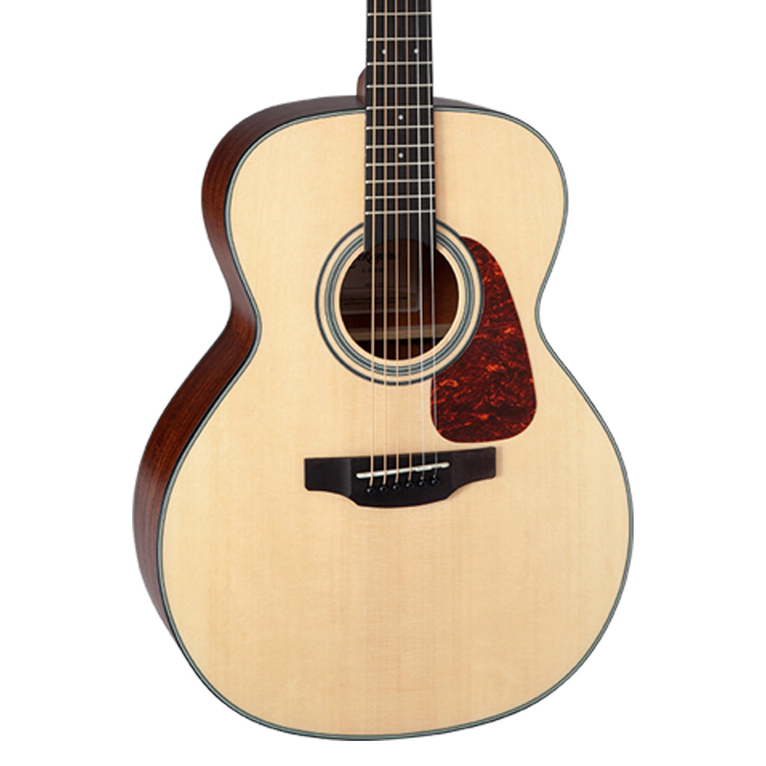 Takamine TGN10NS G10 Series NEX Acoustic Guitar in Natural Satin Finish