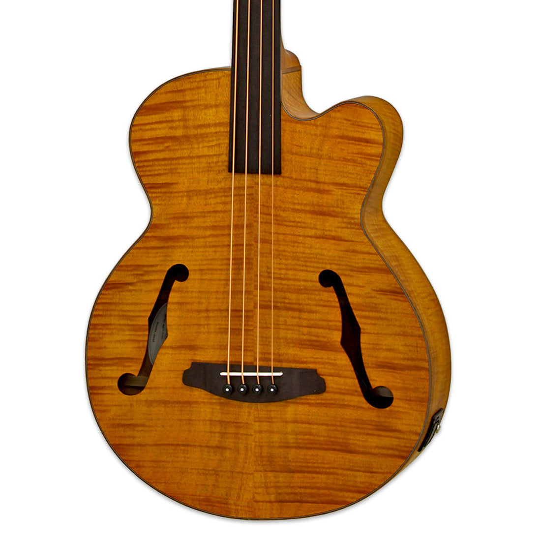 Aria FEB-F2/FL Elecord Series Fretless AC/EL Bass Guitar in Stained Brown