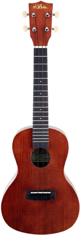 Aria Tenor Ukulele Package