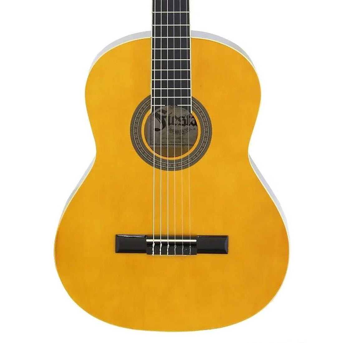 Aria Fiesta 1/2 Size Classical Nylon String Guitar Pack in Natural Includes Gig Bag Tuner and Instructional DVD