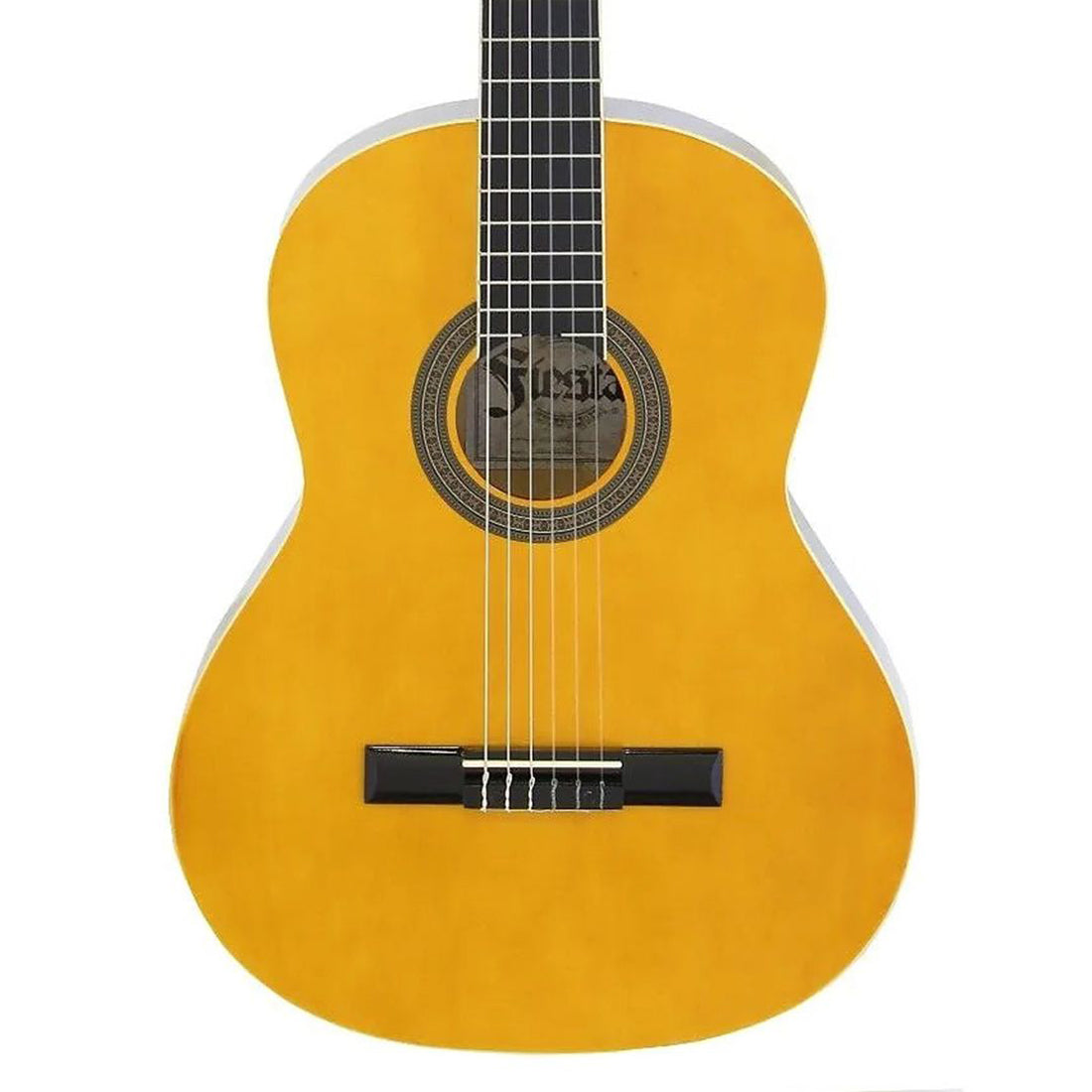 Aria Fiesta 4/4 Size Classical Nylon String Guitar Pack in Natural Includes Gig Bag Tuner and Instructional DVD