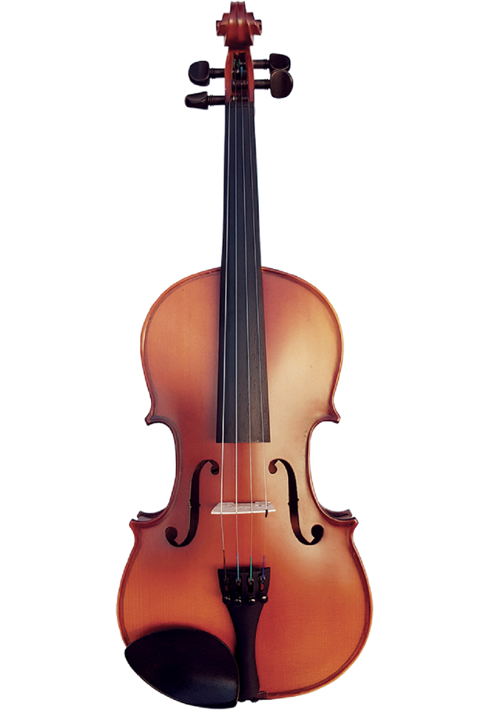 Vivo Neo Student 1/2 Size Violin Including Bow and Case