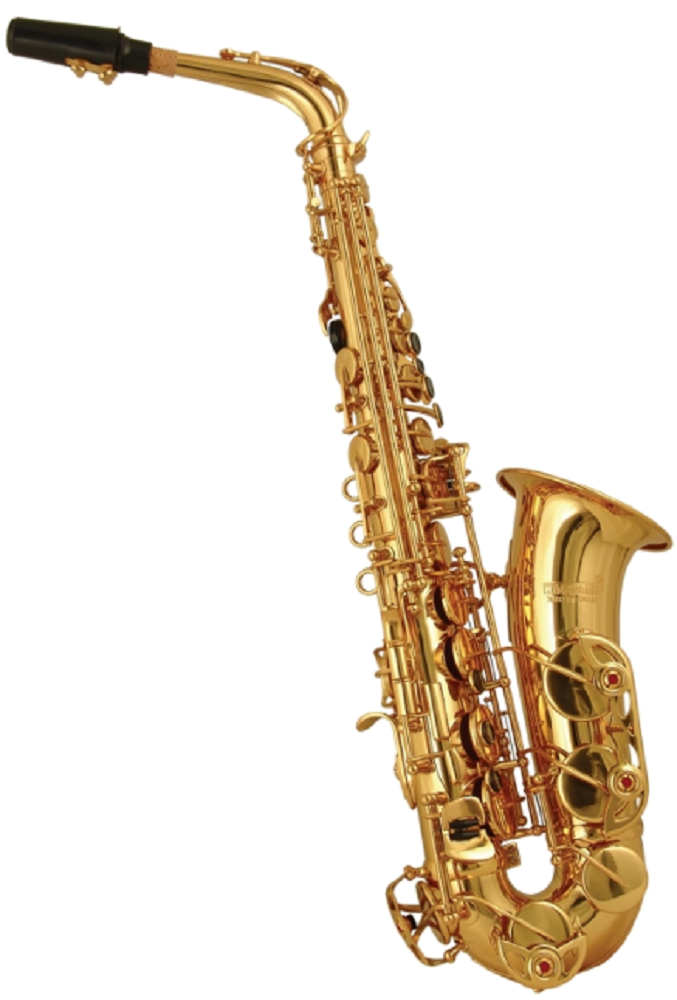 Wisemann WI-DAS-500 Alto Saxophone Eb Brass Lacquered with F# Key and Wisemann Backpack Case